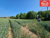 Prodej, Pozemek pro komerční výstavbu, 2385 m2, Cheb, ul. Podhradská, cena 1190 CZK / m2, nabízí