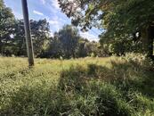 Prodej dvou pozemků v Milíkově - část Těšov, okr. Cheb, cena 2500000 CZK / objekt, nabízí 