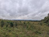 Prodej pozemku v Chodově u Karlových Varů, cena 1290000 CZK / objekt, nabízí 