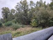 Prodej pozemku v Chodově u Karlových Varů, cena 1290000 CZK / objekt, nabízí 